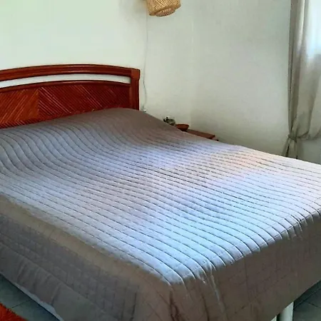 Kokua Developpement Presente Charmante Maison T3 Avec Piscine *